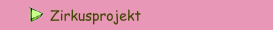 Zirkusprojekt