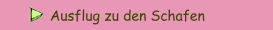 Ausflug zu den Schafen